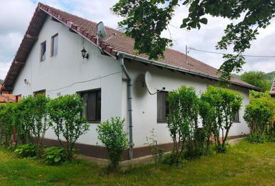 Casă cu 3 camere în Pianu - 1
