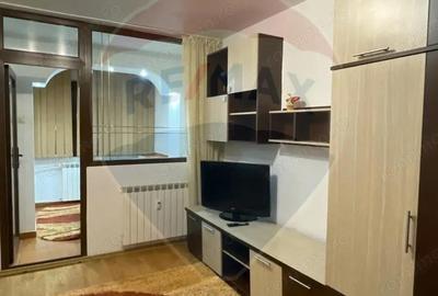 Apartament cu 1 camera de inchiriat in zona Brazda lui Novac - 8
