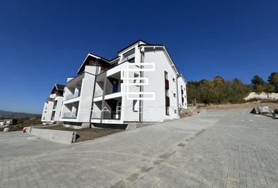 Apartament cu 2 camere semidecomandat în Cristian - 10