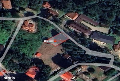 Spațiu comercial, în Pădurea Neagră - 1