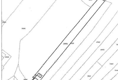 Casă cu 3 camere în Betfia - 2
