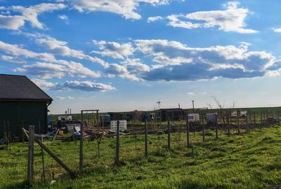 Teren Construcții intravilan de 1096 mp, în Corbu - 9