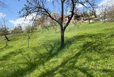 Teren Albesti Arges - Ultracentral Teren Albesti Arges - Ultracentral - 10