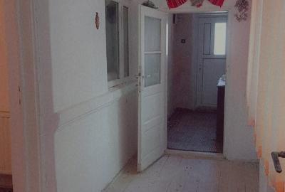 Basarabia, casa singur curte, locuit/diverse activitati - 4