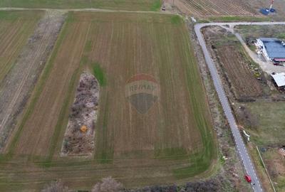 Teren agricol intravilan de 6400 mp, în Miniș - 2