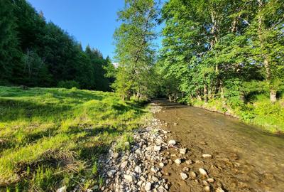 Teren de 12.000 mp la Vama Buzăului – Locație de Vis cu PUZ Aprobat - 12