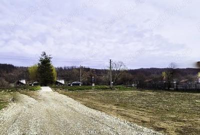 Teren de 650 mp, în Drăganu - 1