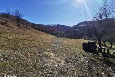 Teren de 10100 mp, în Bulz - 5