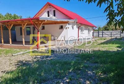 Casa P M cu 800 mp teren, com. Garleni, jud. Bacau - 6