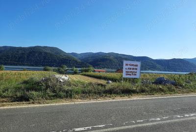 Teren de 2500 mp, în Berzasca - 2