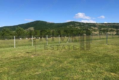 Teren de 800 mp, în Botinești - 2