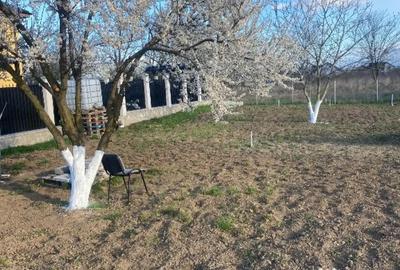 Teren în Narcisa - 3