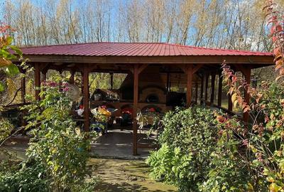 Casă cu 3 camere cu Teren 1500 Mp în Gura Văii - 14