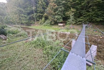 Spatiu de vanzare in Valea Macesului judel Valcea iesire la Lotru - 21