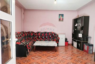 Casa cu 7 camere spa?ioase ideala pentru doua familii - 14