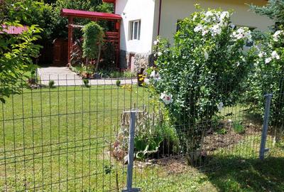 Casă în Băișoara - 2