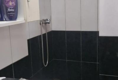 Inchiriez apartament i.c.frimu - 3