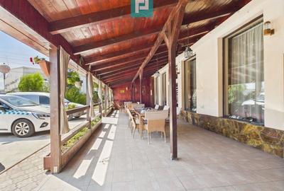 Pensiune la Orțișoara - 21