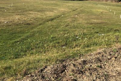 Spațiu comercial, în Central - 1