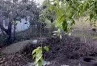 Teren în Tecuci - 1