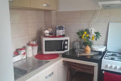 Garsonieră în Sârbi - 4