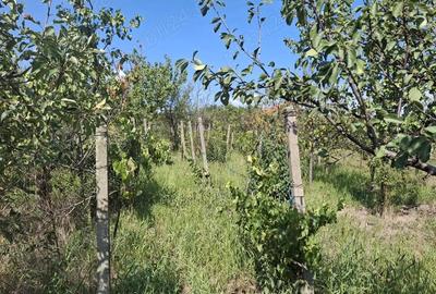 Casă cu 4 camere în Central - 1