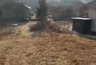 Teren de 2200 mp, în Criș - 1