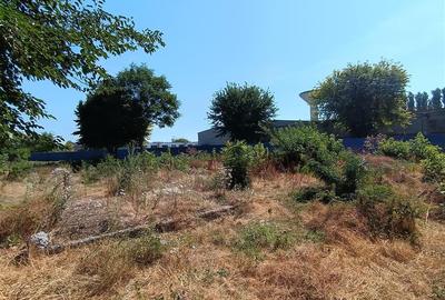 Teren Construcții intravilan de 501 mp, în Calarași 4 - 1