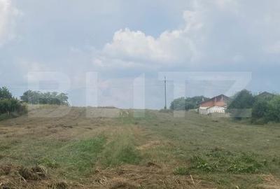 Spațiu comercial, în Preajba - 3