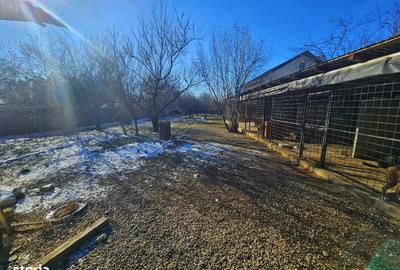 Casă cu 4 camere cu Teren 1824 Mp în Păulești - 2