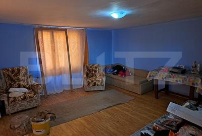Casa cu o camera, 60 mp, in apropiere de Brad - 2