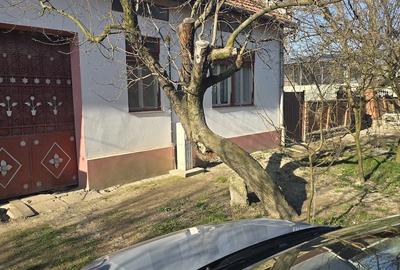 Casă cu 3 camere cu Teren 1800 Mp în Drăgoiești - 1