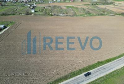 Teren de vânzare, Com. Nicolae Bălcescu, Jud. Bacău - 10