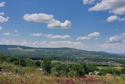 Spațiu comercial, în Curături