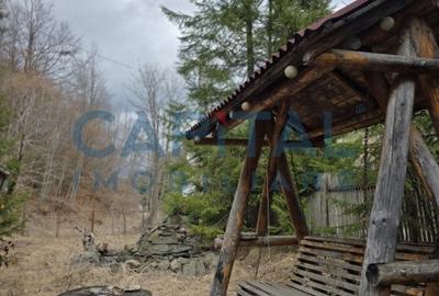 Cabana la munte Rucar / Satic - 8