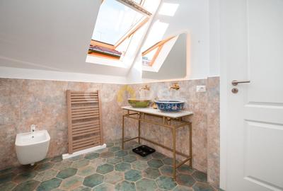 Vila / Casa de vanzare in Andrei Muresanu 2 unitati locative - 11