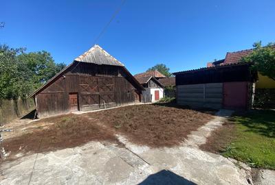 Casa cu anexe gospodare?ti ?i 40 ari teren Tataresti, Satu-Mare - 4