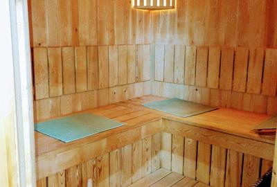 Vila de lux la munte Brasov Zarnesti Plaiul Foii, 2 hectare de teren, jacuzzi, semineu, sauna, Gym - 8