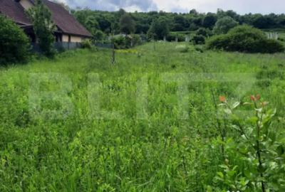 Teren de 1800 mp, în Ciurila - 2