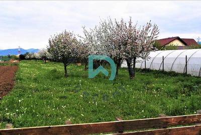 Vanzare teren intravilan, Sanpetru, Livada - 13