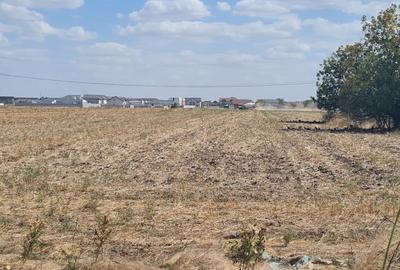 Teren investitie Berceni Teren investitie Berceni - 10