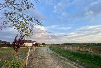 Teren vis a vis Laguna Albastra, Corbeanca - 6