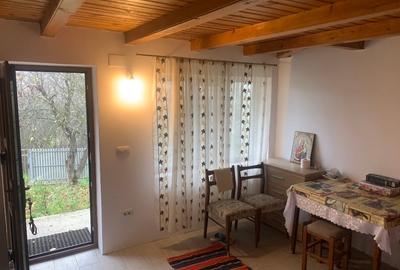 Casă de vânzare în mediul rural - 6