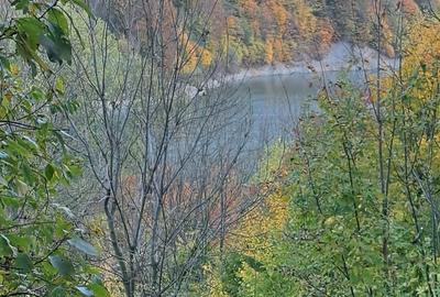 Vand teren cu vedere la lac, Valea Doftanei,Strada Lacului - 3
