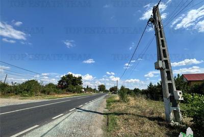 Teren de 2500 mp, în Frumușani - 3