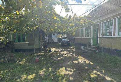 Casă cu 3 camere cu Teren 1634 Mp în Săbolciu - 5