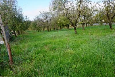 Casa cu cel mai frumos teren de 3800 m din Tataresti jud. Satu Mare - 1