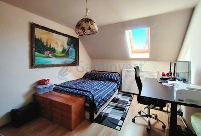 Casă cu 15 camere cu Teren 2800 Mp în Sântandrei - 10