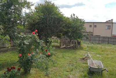 Bragadiru Bragadiru - 6