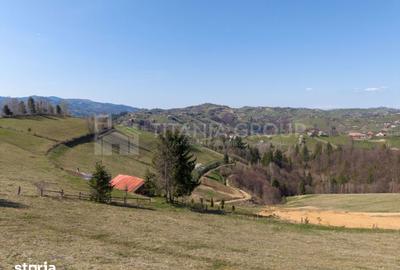Teren de 3791 mp, în Moieciu